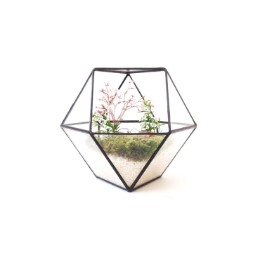 Terrarium suspendu rond en verre carré géométrique clair